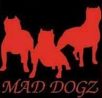 Maddogz Moving & Deliveries company logo