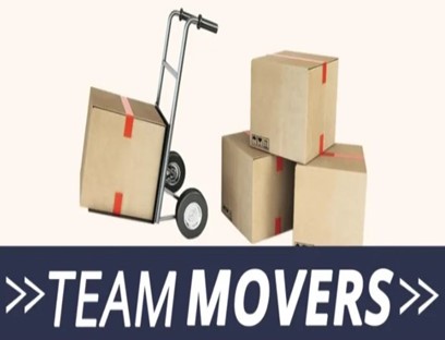 Team-Movers-NYC company logo
