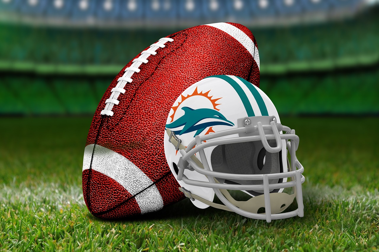 Miami dolphins ball and a helmet