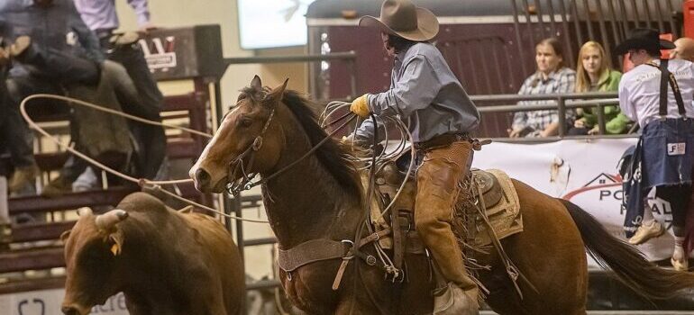 A cowboy on a Rodeo 