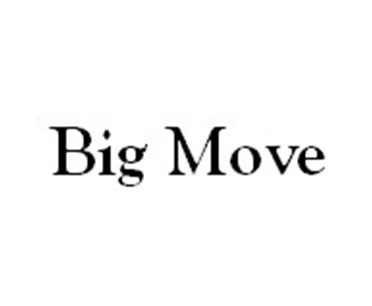Big Move company logo