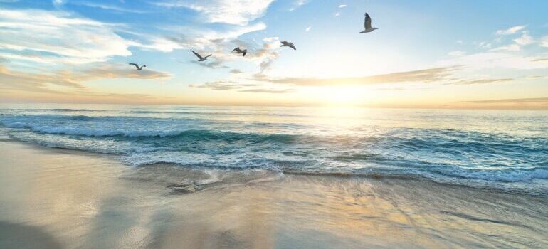 A beach in San Diego.