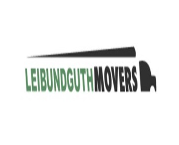 Leibundguth Storage & Van Service company logo