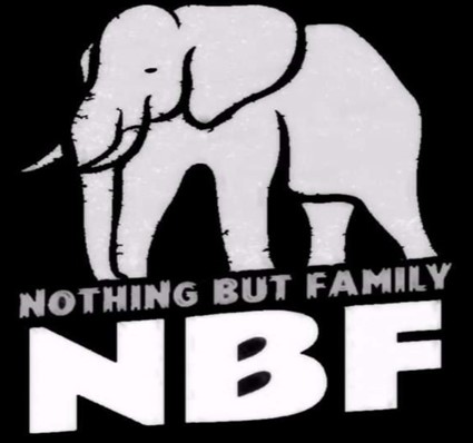 Nothing But Family company logo