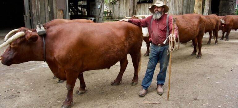 A farmer posing next to his bull.