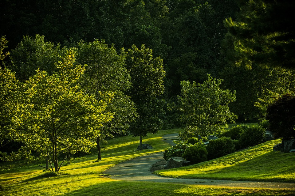 Picture of the park in Virginia during the summer