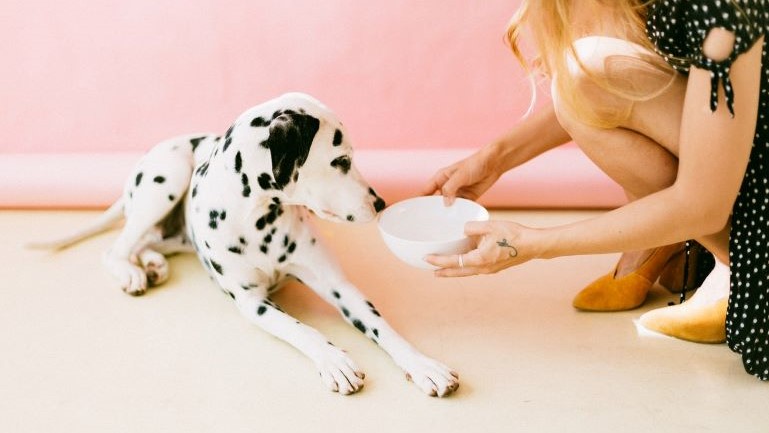 A woman feeding her dog.
