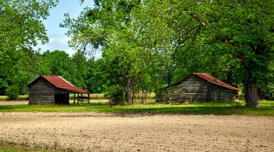 two barns in the forest