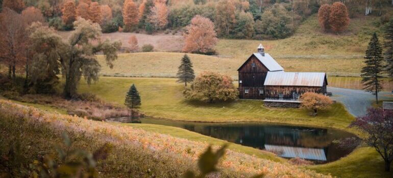 the nature in Vermont