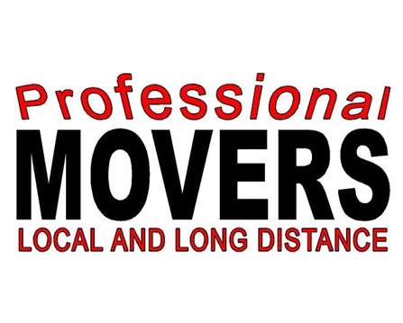 Professional Movers and Storage company logo