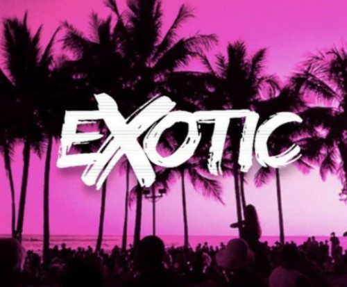 Exotic Movers company logo