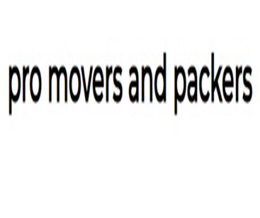 Pro Movers and Packers company logo