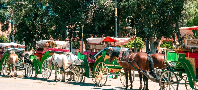 Horse carriages on the streets waiting tourists.