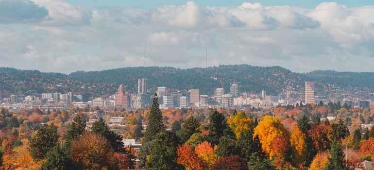 A photo of Portland above the trees.