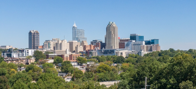 The Raleigh Skyline from the nearby park.