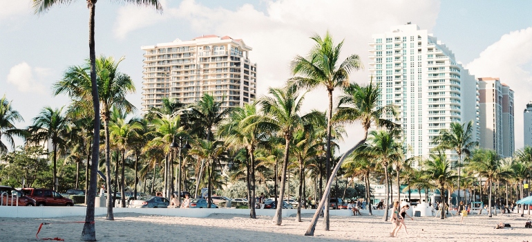 Palm trees on a beach in Miami.