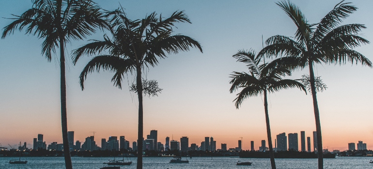A photo of Miami Skyline with palm trees in front taken during the sunset.