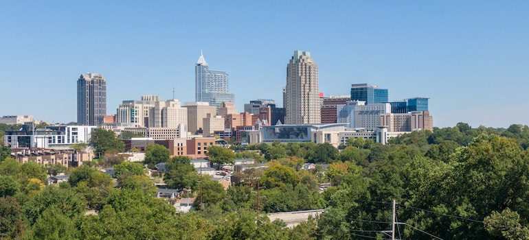 The skyline of Raleigh photographed above the nearby park.