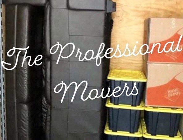 The Professional Movers company logo