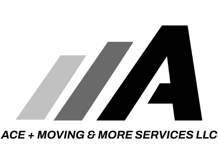 ACE Plus Moving & More company logo