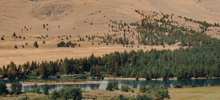 Nature in Montana