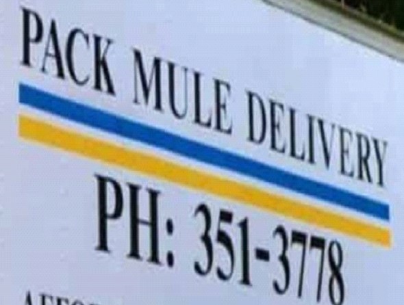 Pack Mule Delivery company logo