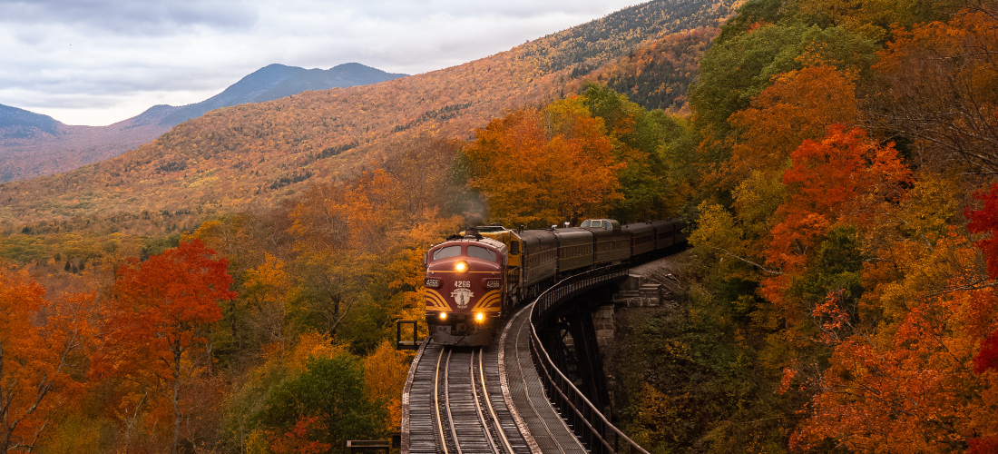 A train passing through the woods of New Hampshire