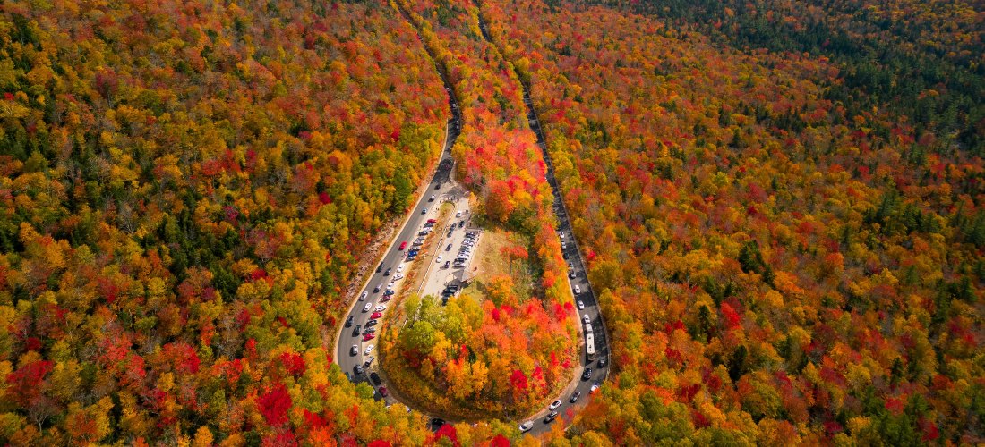 A road in NH in the middle of the woods photographed from air.
