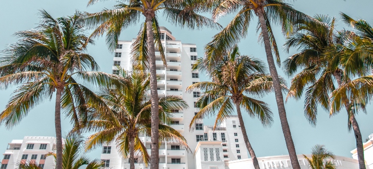An apartment building in Miami photographed under the palm trees.