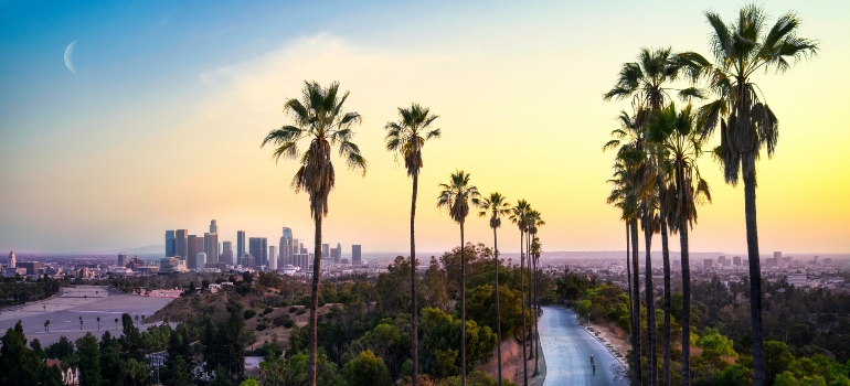 A picture of Los Angeles Skyline between the palm trees.