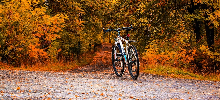 bike on the trail
