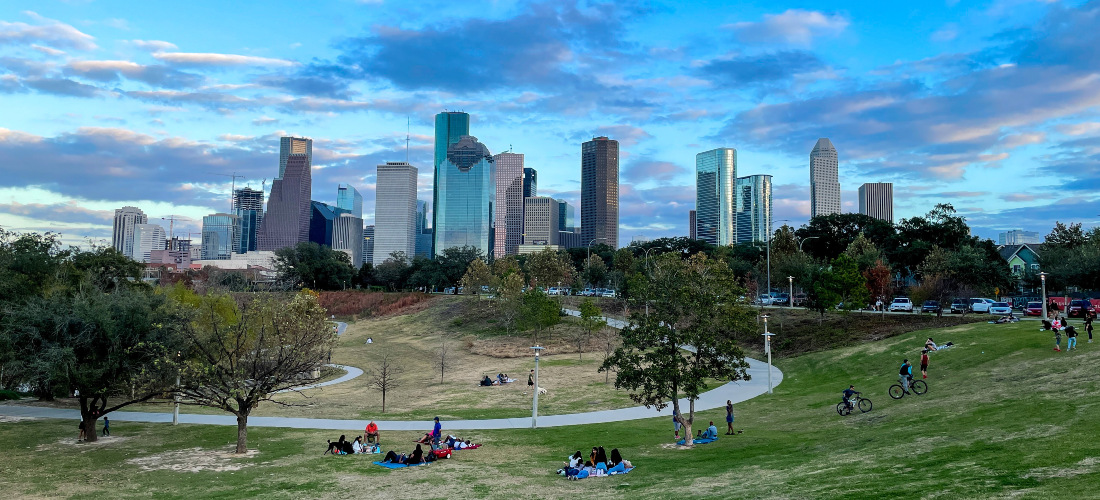 The Houston Skyline photographed from the nearby park