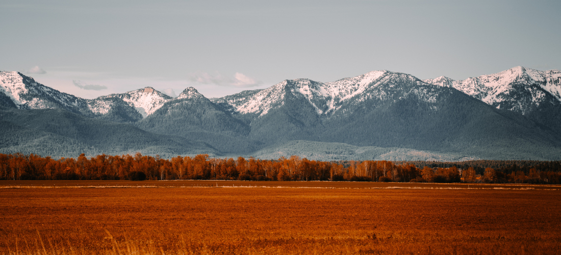 A field in Montana with mountains in the background
