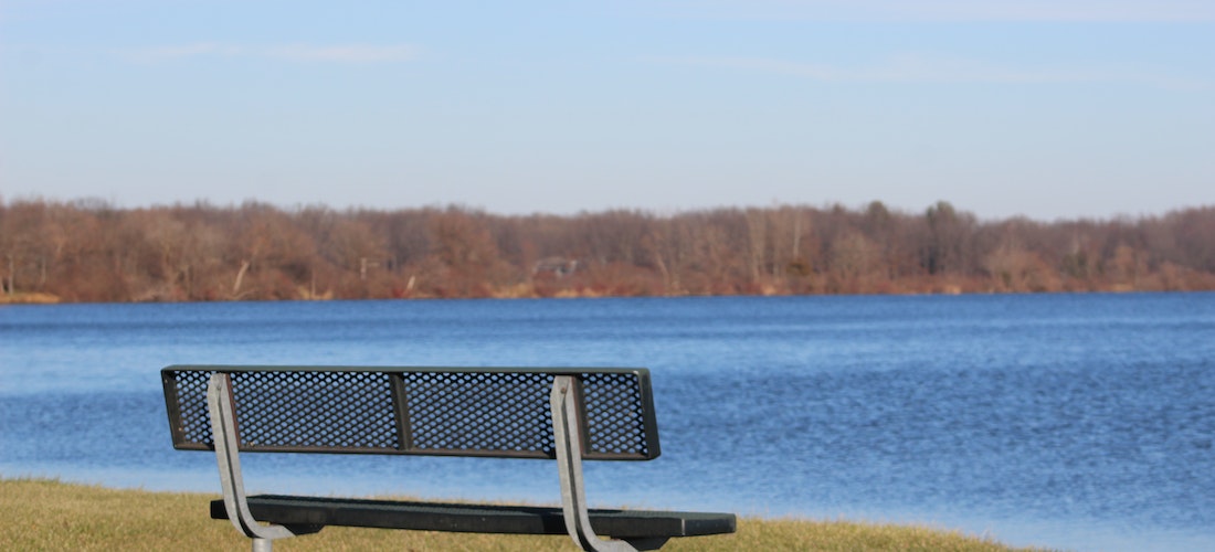 A bench next to a lake in Michigan
