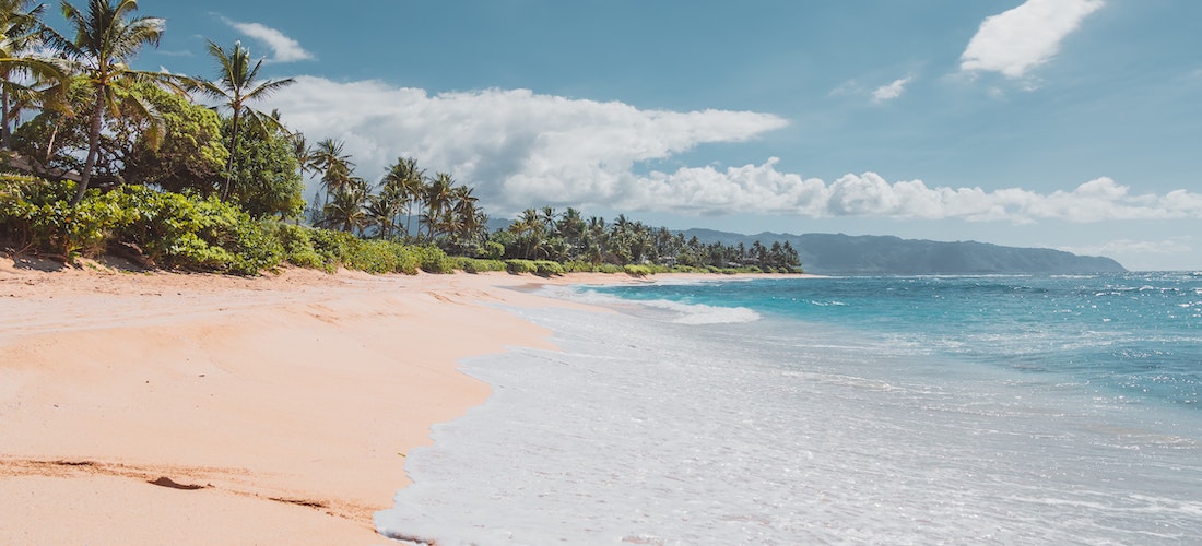 A beach in the Aloha State