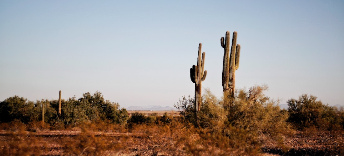 A photo of a desert