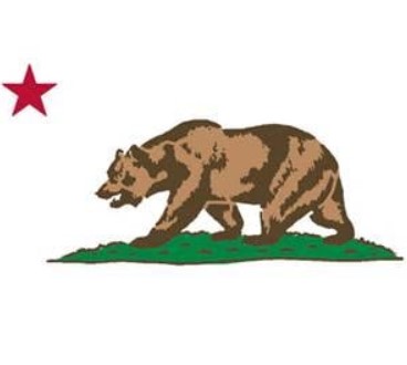 California Bear Moving