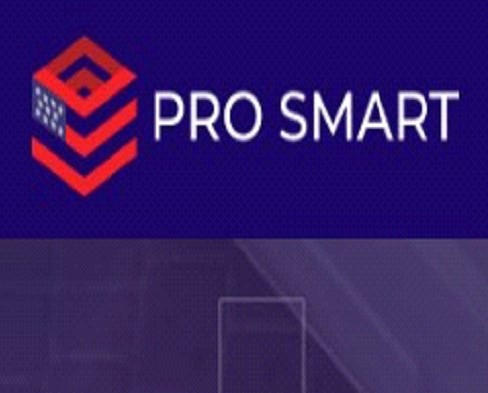 Pro Smart Movers company logo