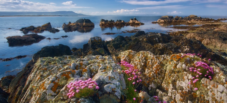 Rocks on the coast of Ireland