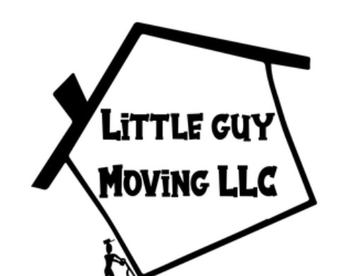 Little Guy Moving