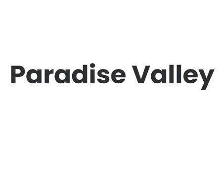 Paradise Valley company logo