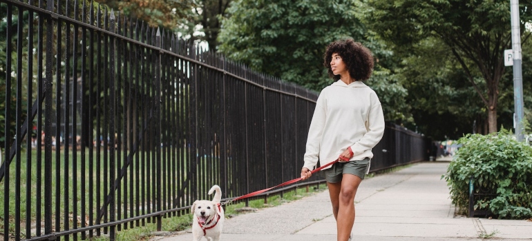 a woman walking a dog