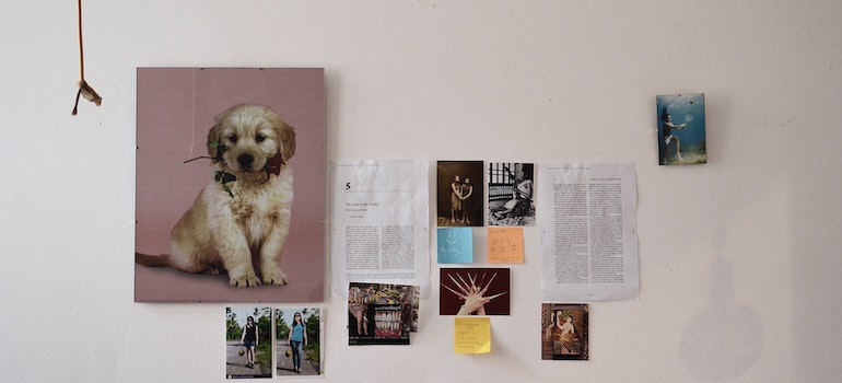 Different pictures and book pages hanging on a wall