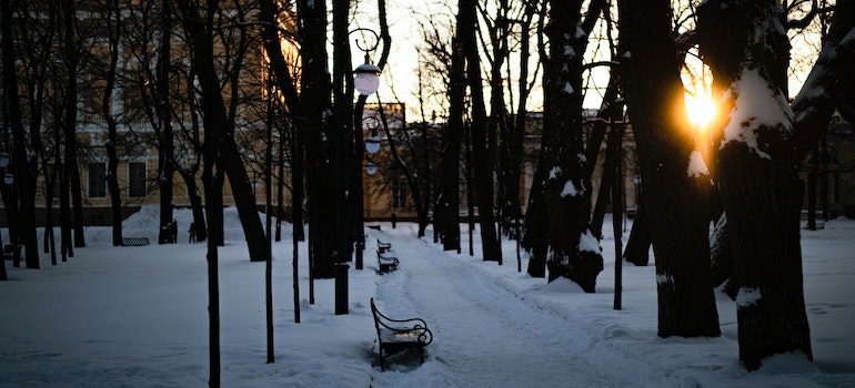 A snowed in park with trees and a couple of benches
