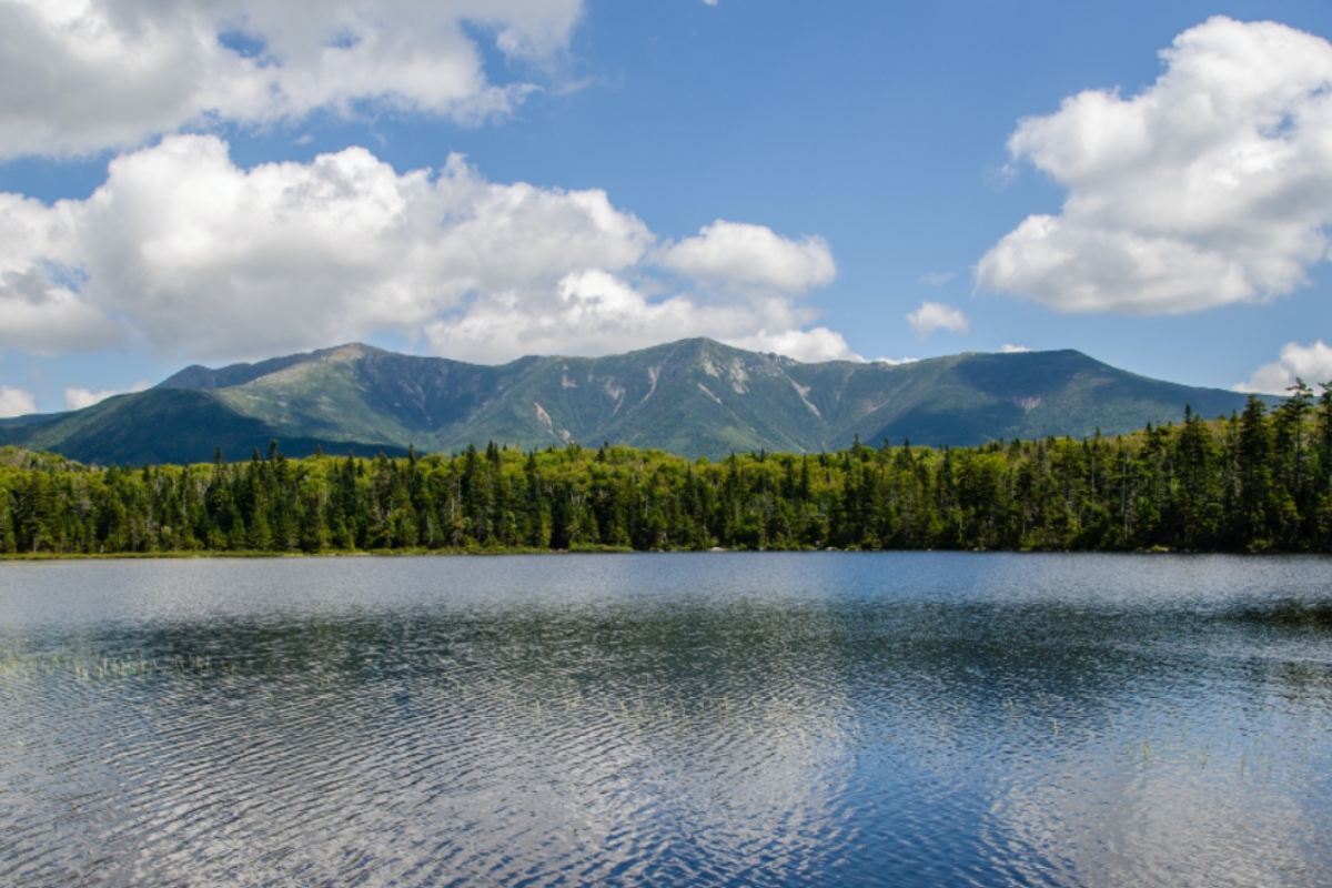 Green trees in front the mountains and behind the lake