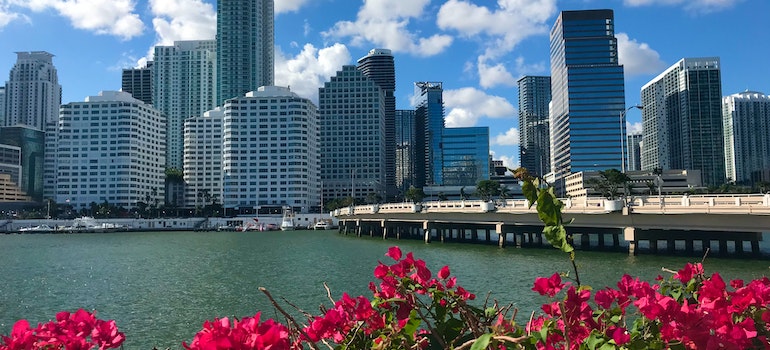 Red flowers and a city skyline over a body of water