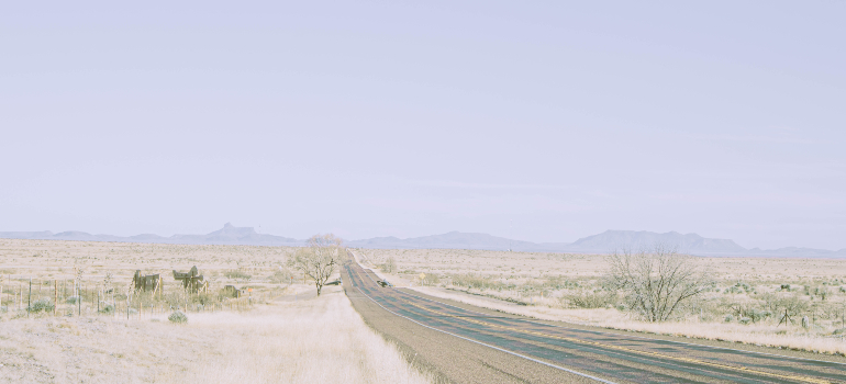 Desert road in Texas