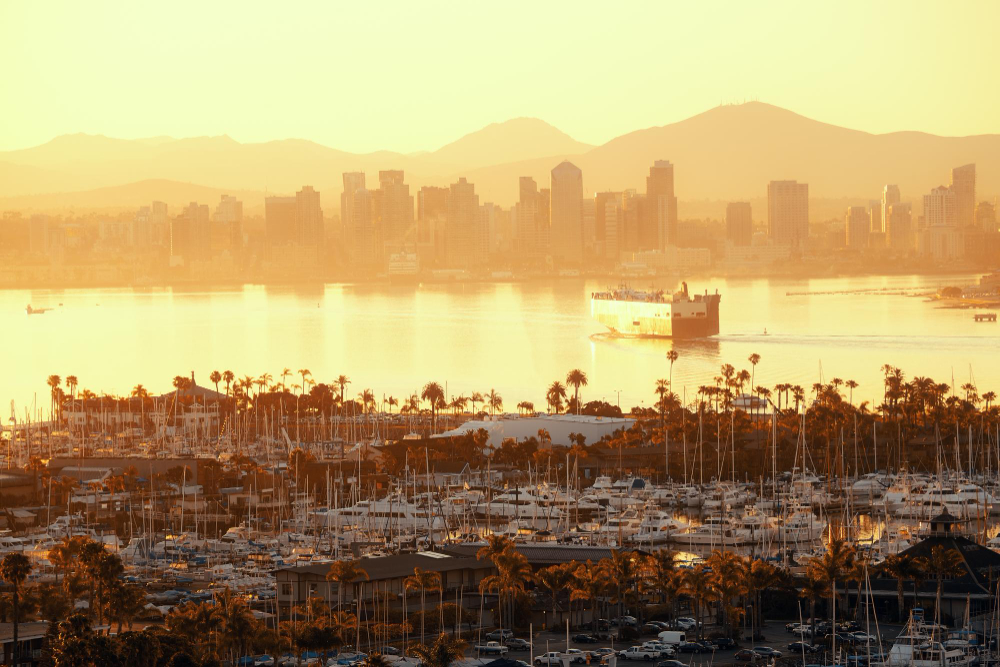 San Diego skyline of a harbor