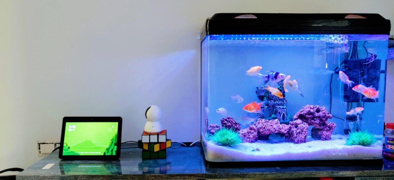 An aquarium with fish next to a toy and a tablet