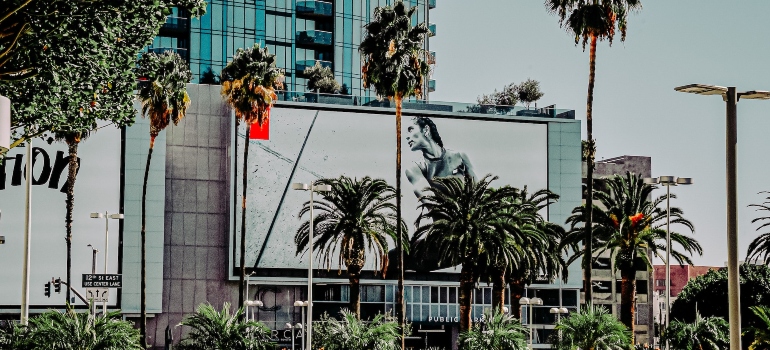Picture of buildings and trees in LA